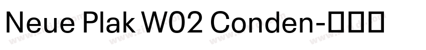 Neue Plak W02 Conden字体转换